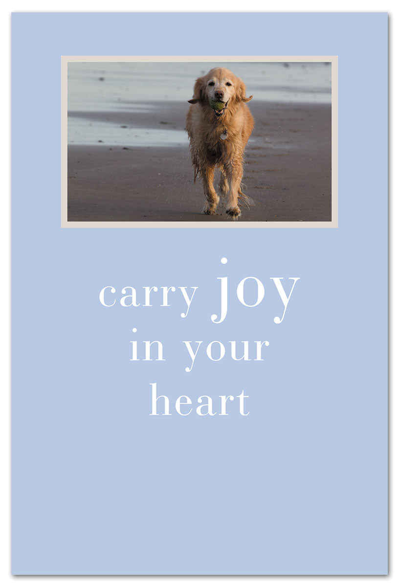 A greeting card featuring an image of a dog on the beach with the text 'carry joy in your heart' printed on it. Available at Be Charmed