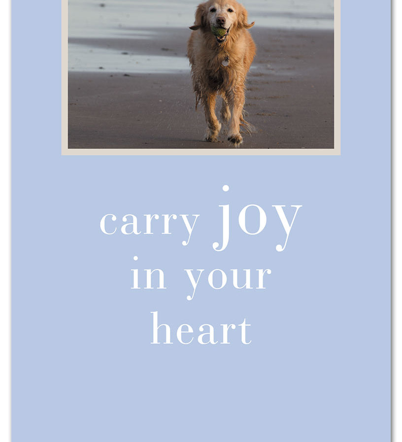 A greeting card featuring an image of a dog on the beach with the text 'carry joy in your heart' printed on it. Available at Be Charmed