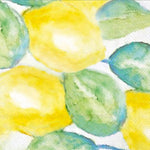 Boston International Cocktail Napkin Lemon Verbena 