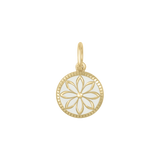 Lola Daisy All Gold Small Alpine White