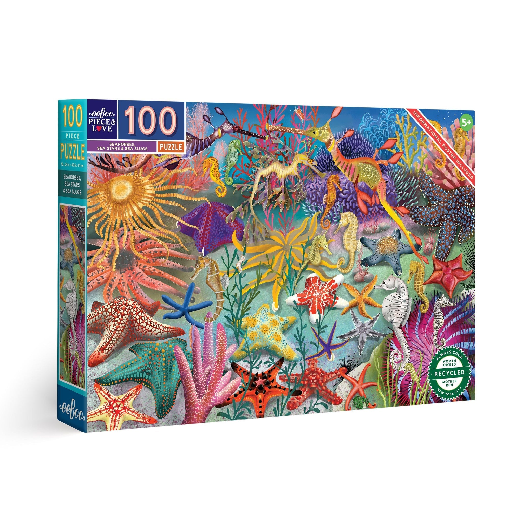 A colorful puzzle box depicting various sea creatures such as seahorses, sea stars, and sea slugs, with the number 100 indicating the piece count. Available at Be Charmed