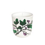 Annapolis Candle Terrace Fig Tree Candle 
