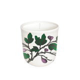 Annapolis Candle Terrace Fig Tree Candle 