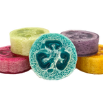 Molly's Apothecary - Loofah Glycerin Soap Beach