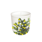 Annapolis Candle Terrace Lemon Tree Candle 