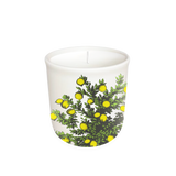 Annapolis Candle Terrace Lemon Tree Candle 