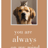 Cardthartic - Always on my Mind Thinking of You Card