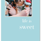 Cardthartic - Life Is Sweet Many Occasions Card