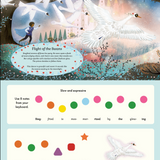 A children's book or educational print page titled 'Flight of the Swans' showing an illustrated scene of white swans flying past a castle, with text and keyboard-note exercises below. Available at Be Charmed