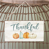 A rustic marlin style twine hanging sign with the word 'Thankful' written on it, accompanied by images of pumpkins in various colors. The sign is hanging from a twine and is placed against a woven background. Available at Be Charmed