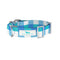 Scout  Friend of DorothyDog Collar available at Be Charmed