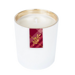 Annapolis Candle Pomander Holiday Boxed Candle