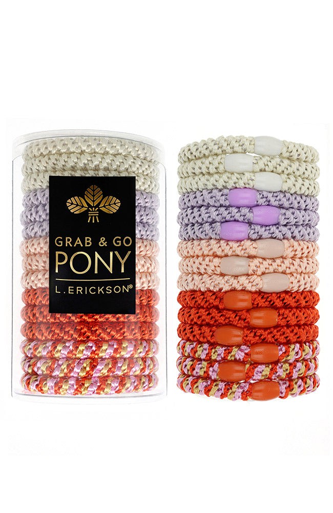 L. Erickson Grab & Go Pony Tube Strawberry Shortcake