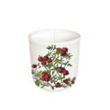 Annapolis Candle Terrace Tomato Candle 