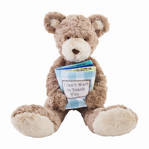 Mud Pie Big Bro Book Bear